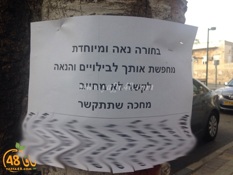 i3lanat mashboh3a (2).jpg